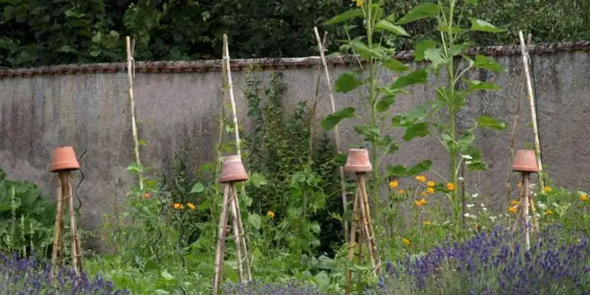DISTILLERIE BRASSERIE ET POTAGER DE L'ARSENAL