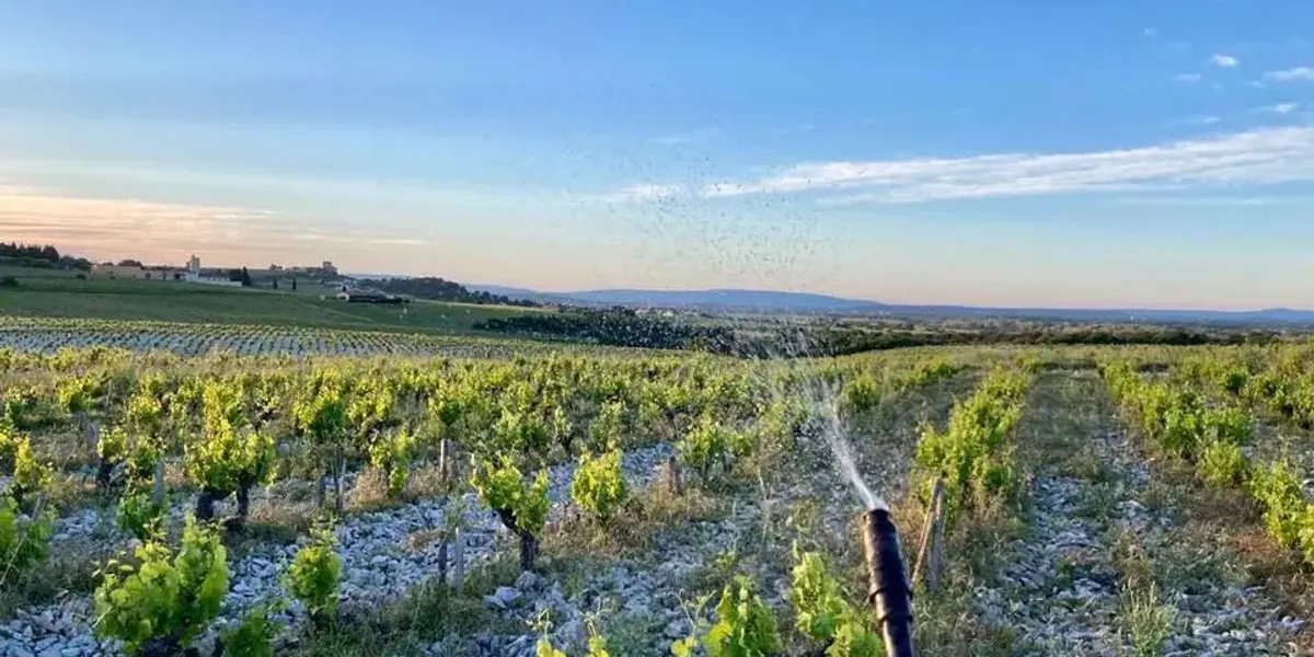 Domaine des Maravilhas