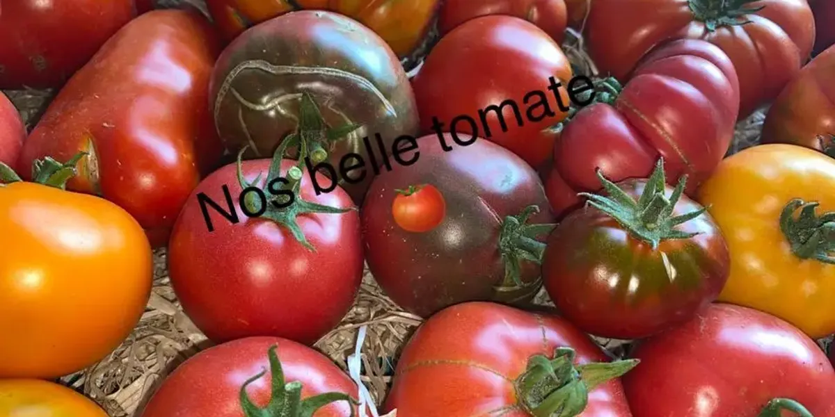 Sunny Légumes