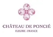 Château de Poncié