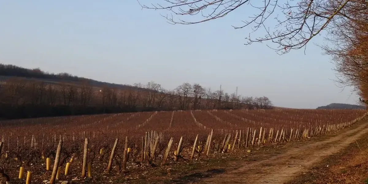 Domaine de L'Ecette