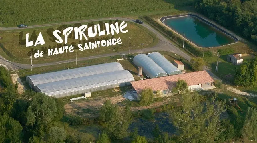 La Spiruline De Haute Saintonge