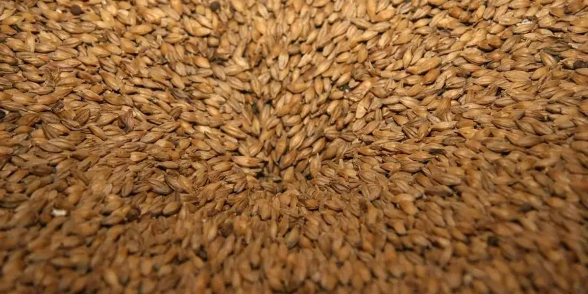 Ferme-Brasserie Quévertoise
