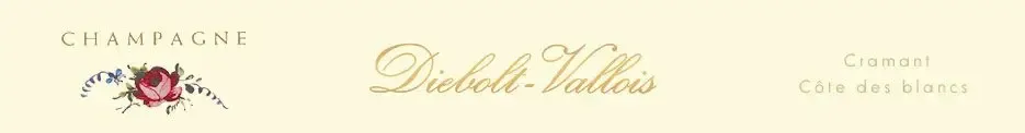 Diebolt-Vallois