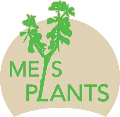 MeysPlants