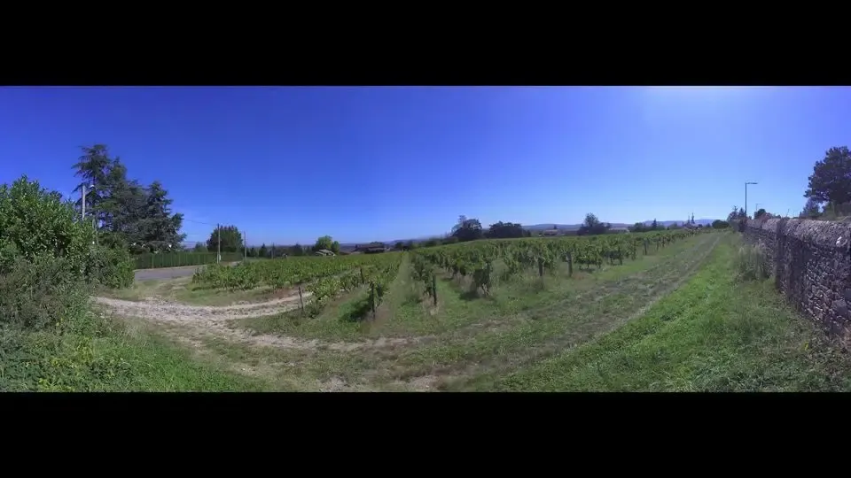 Domaine du Clos Saint Marc