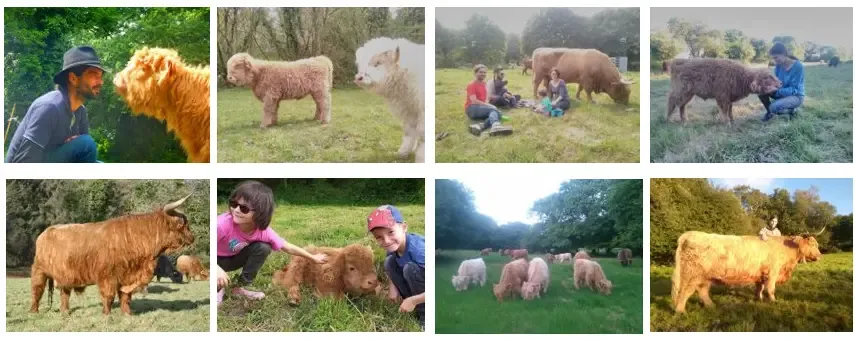 Le Ranch de Kerbongout