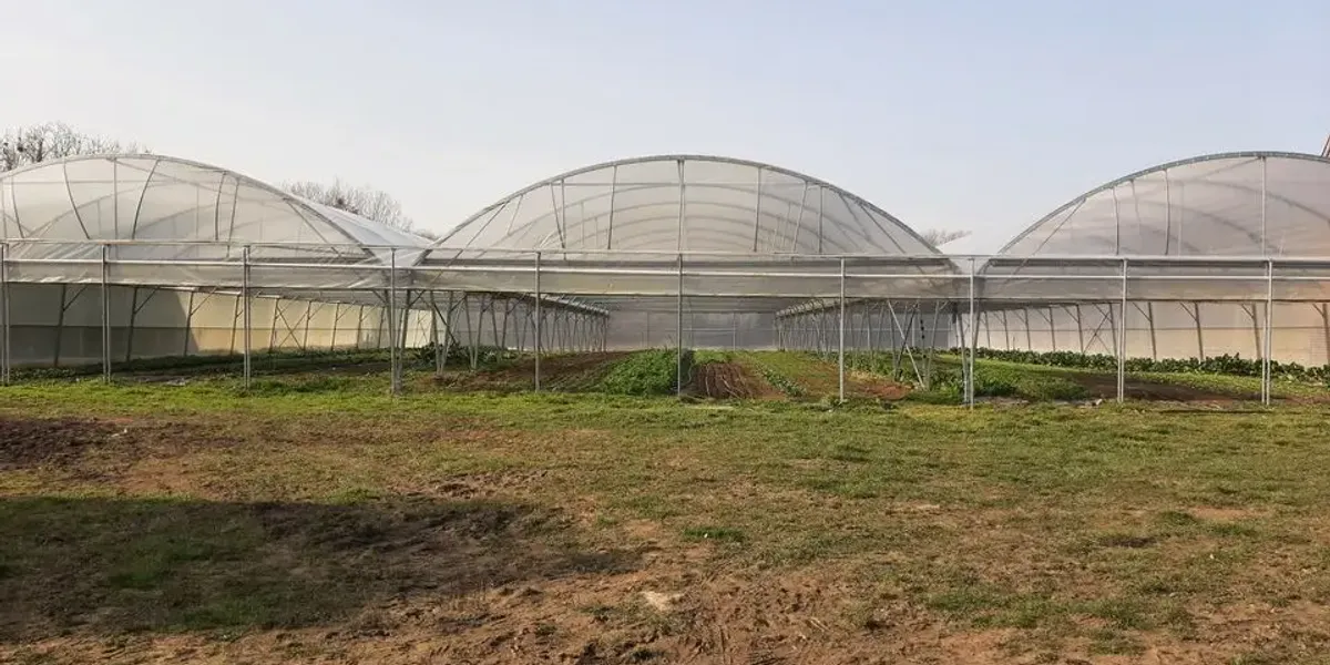 Au Jardin De Camille