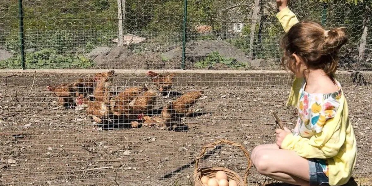Ferme Du Clos Long