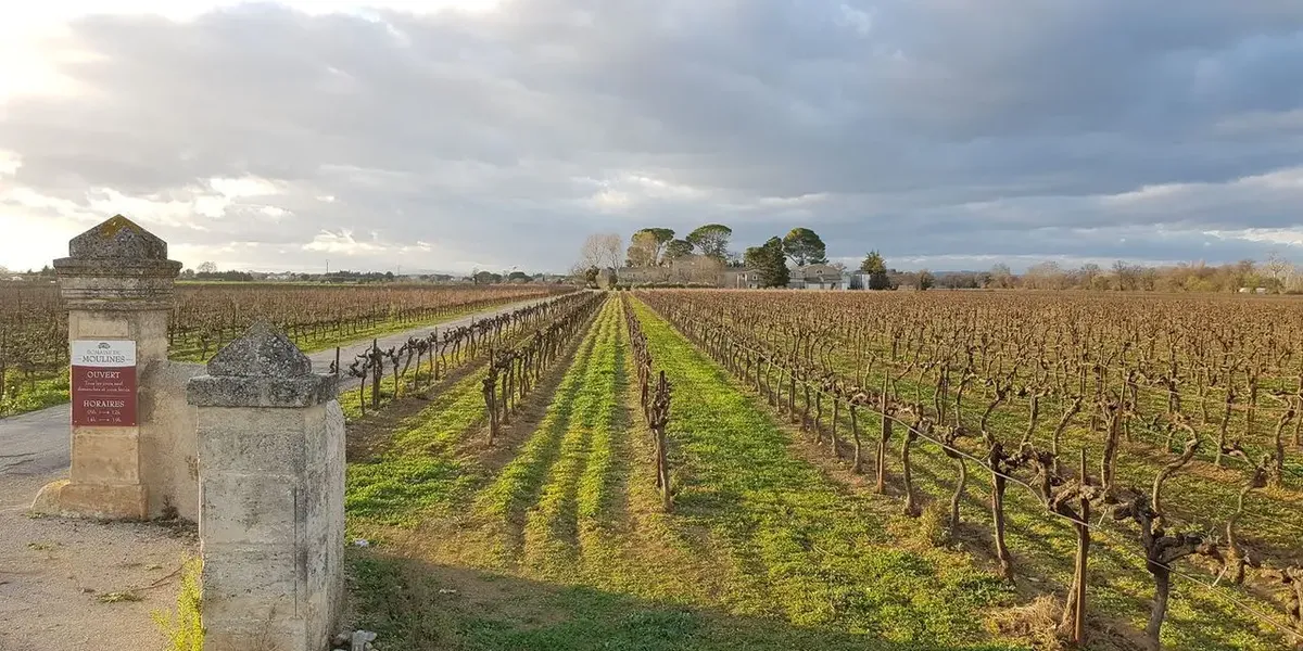 Domaine De Moulines - Domaine De Figueirasse