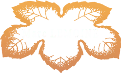 Champagne Marc Lemoine