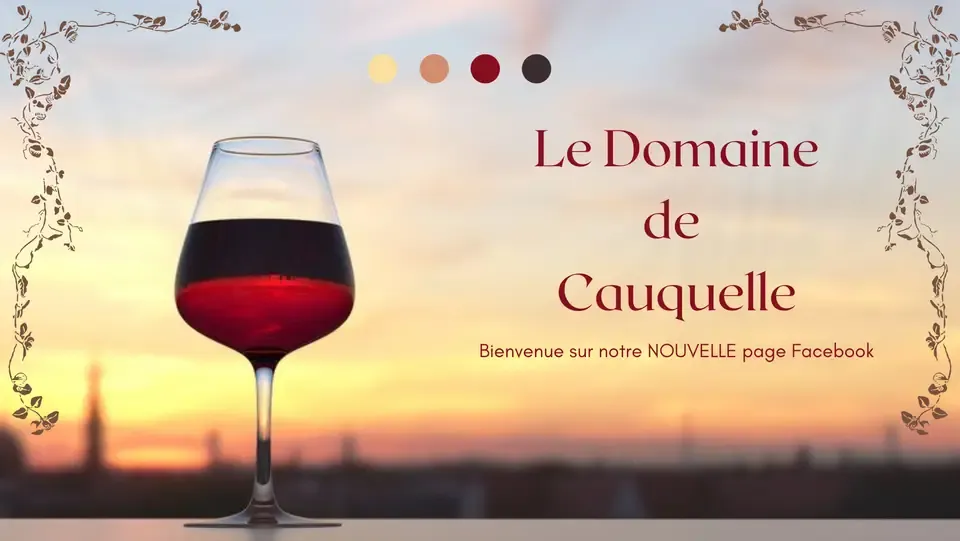 Domaine de Cauquelle Vigneron Flaugnac