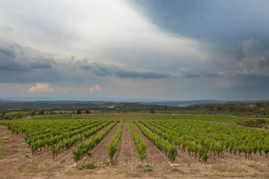 Château Tréviac