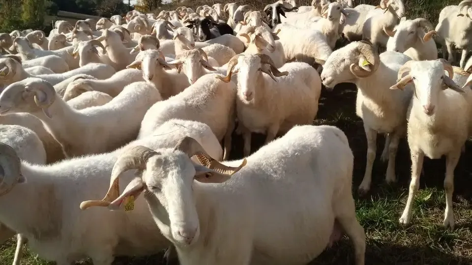 Ferme de la Mignonne