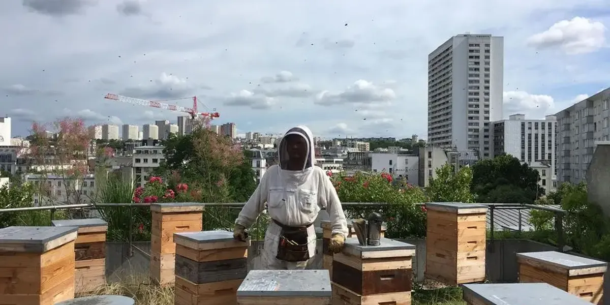 Un Apiculteur Près De Chez Vous