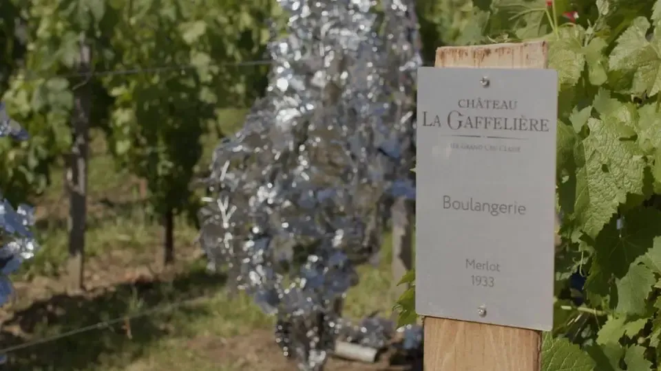 Château La Gaffelière