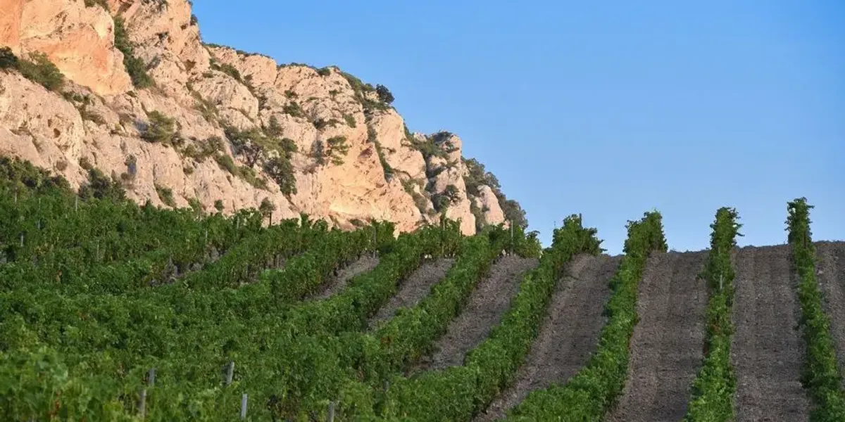 Domaine Gentile