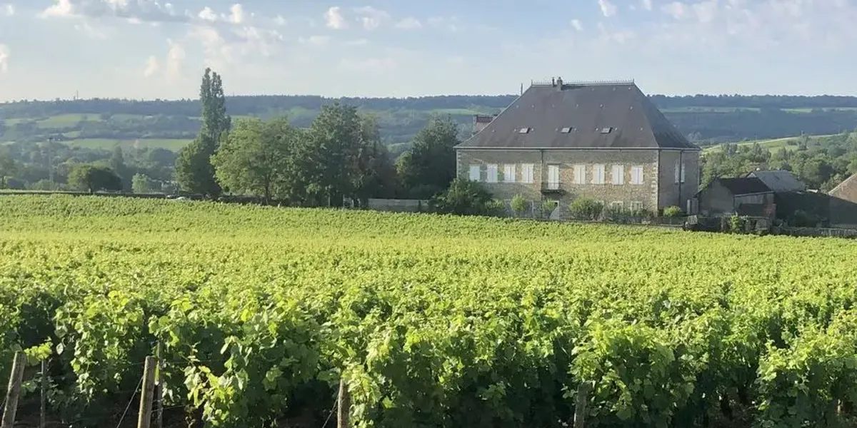 Domaine Fleurot Larose
