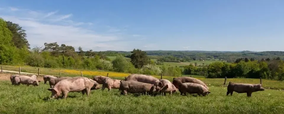 Ferme du bout du bois