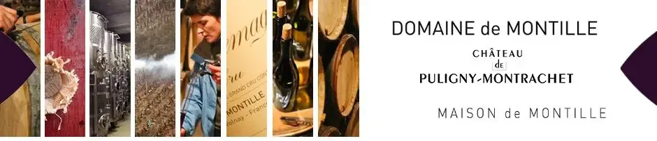Domaine Du Chateau de Puligny Montrachet SCEA