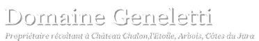 Geneletti David