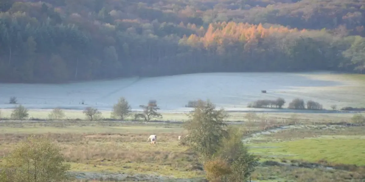 La Ferme de l'Huis Dupin