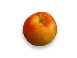 Les Fruits des Bois GAEC