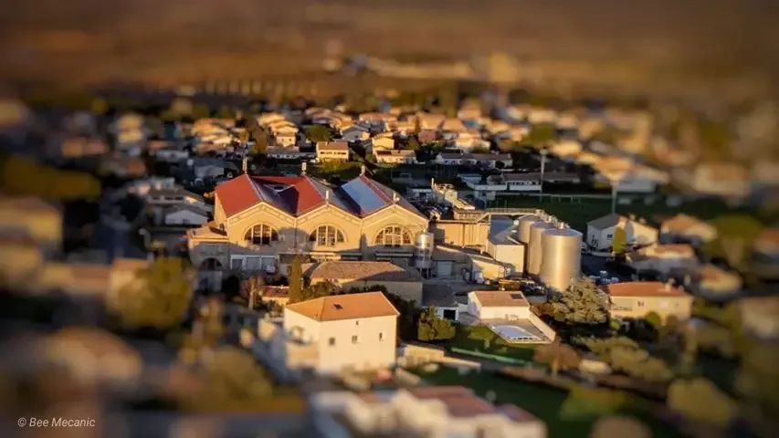 Les Vignerons d'Alignan-Neffiès (Caveau Alignan)