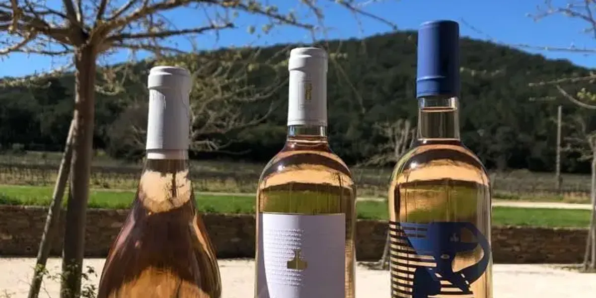 Domaine De La Pertuade