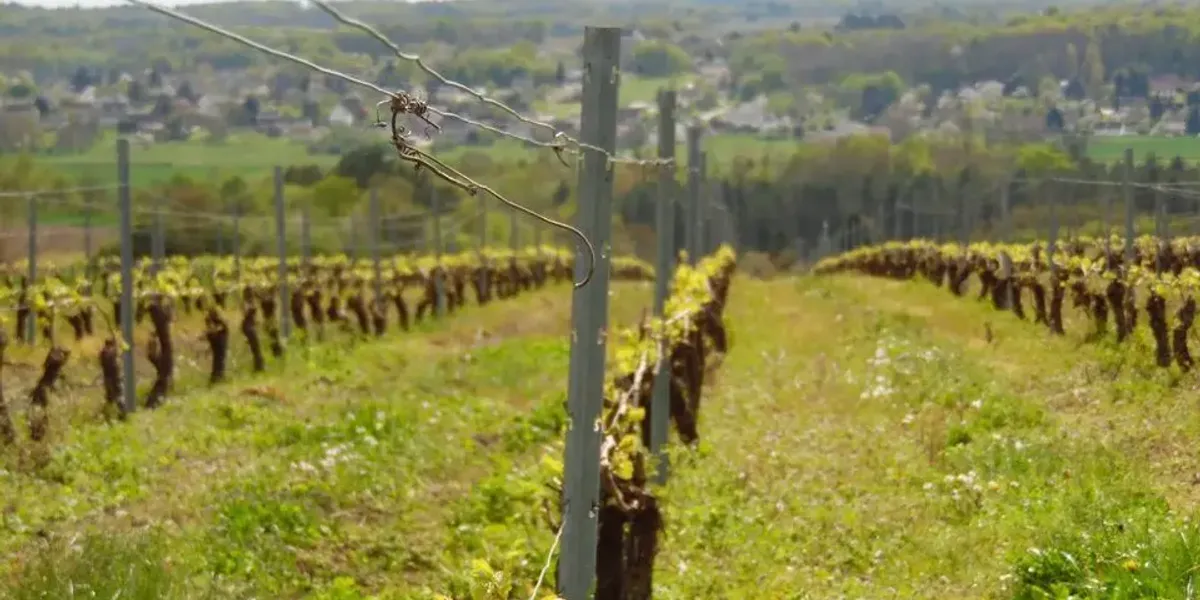Domaine Oudart