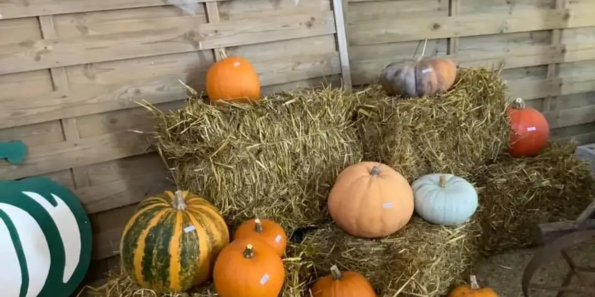 La Ferme De Chantecaille