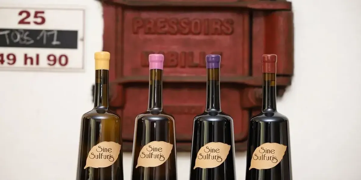 Domaine des Pierrettes