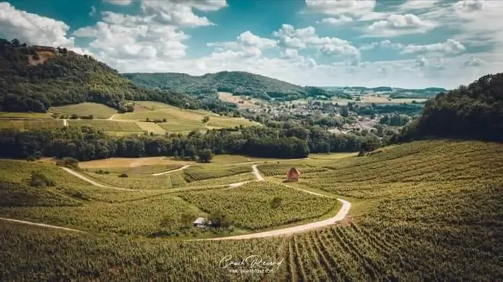 Domaine Berthet-Bondet