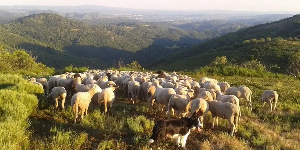 Gaec Des Monts De L oize
