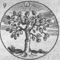 Figues du Monde