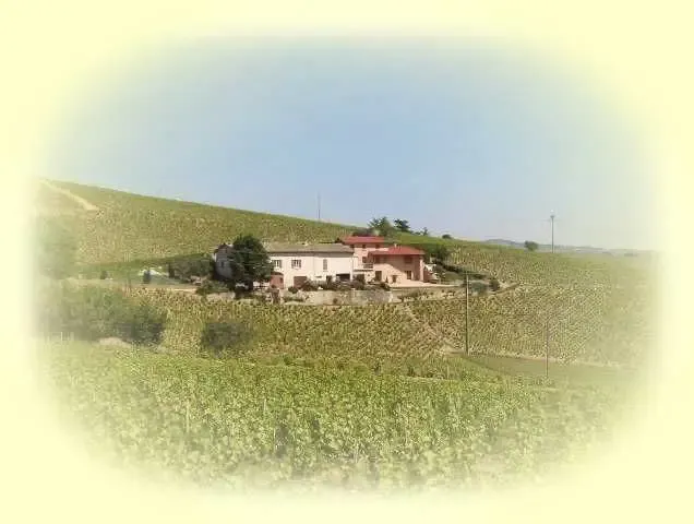 DOMAINE COTEAUX DES OLIVIERS
