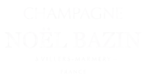 CHAMPAGNE NOËL BAZIN