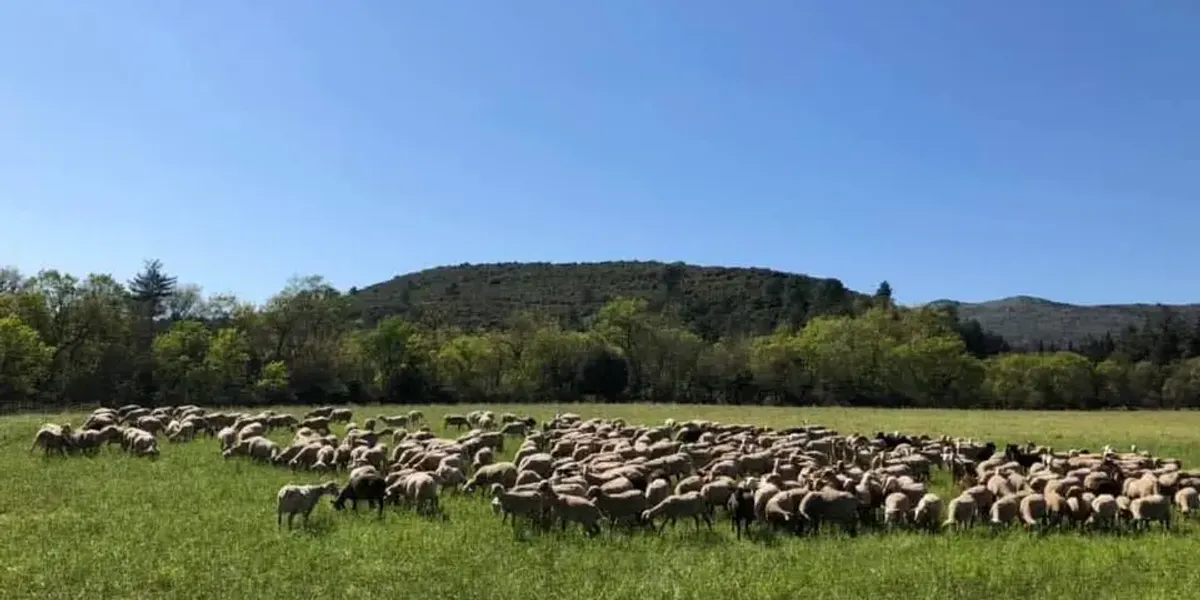 Gaec Des Garrigues Arquettoises