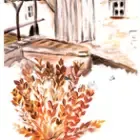 EARL de l'Airain (la Farine d'Oudon)
