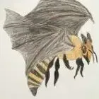 Logo de Vignobles Michel Pion
