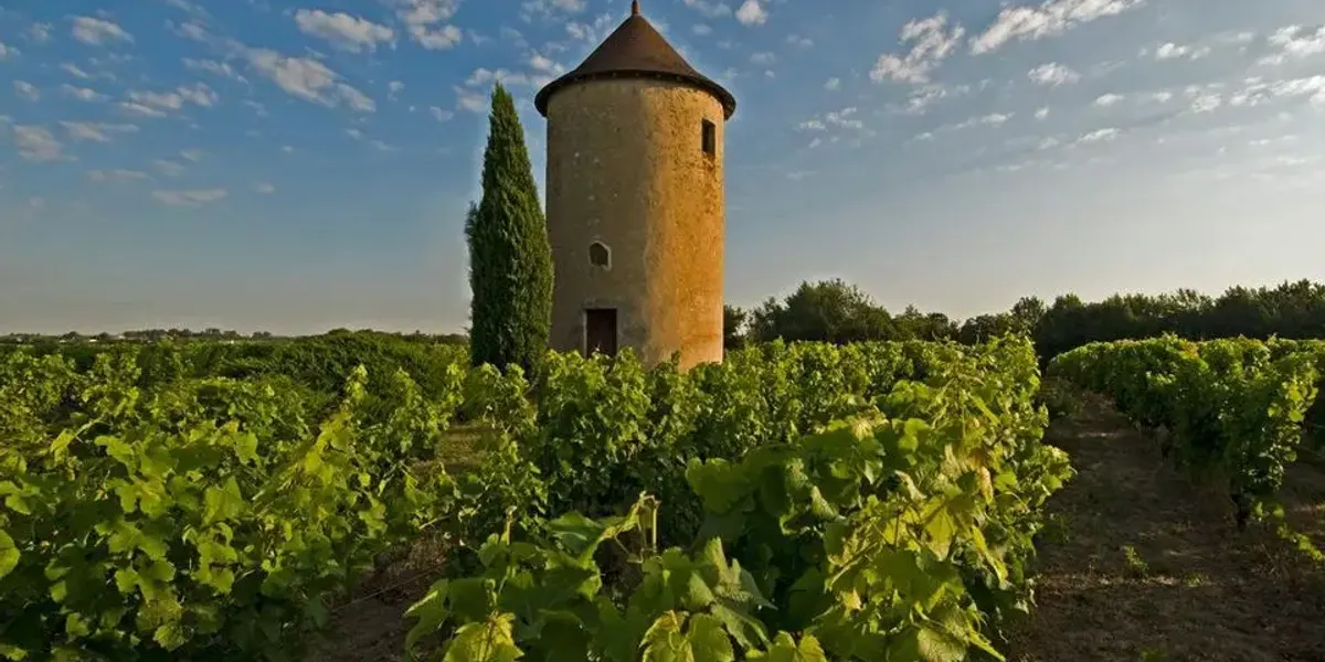 Vignobles Dulon