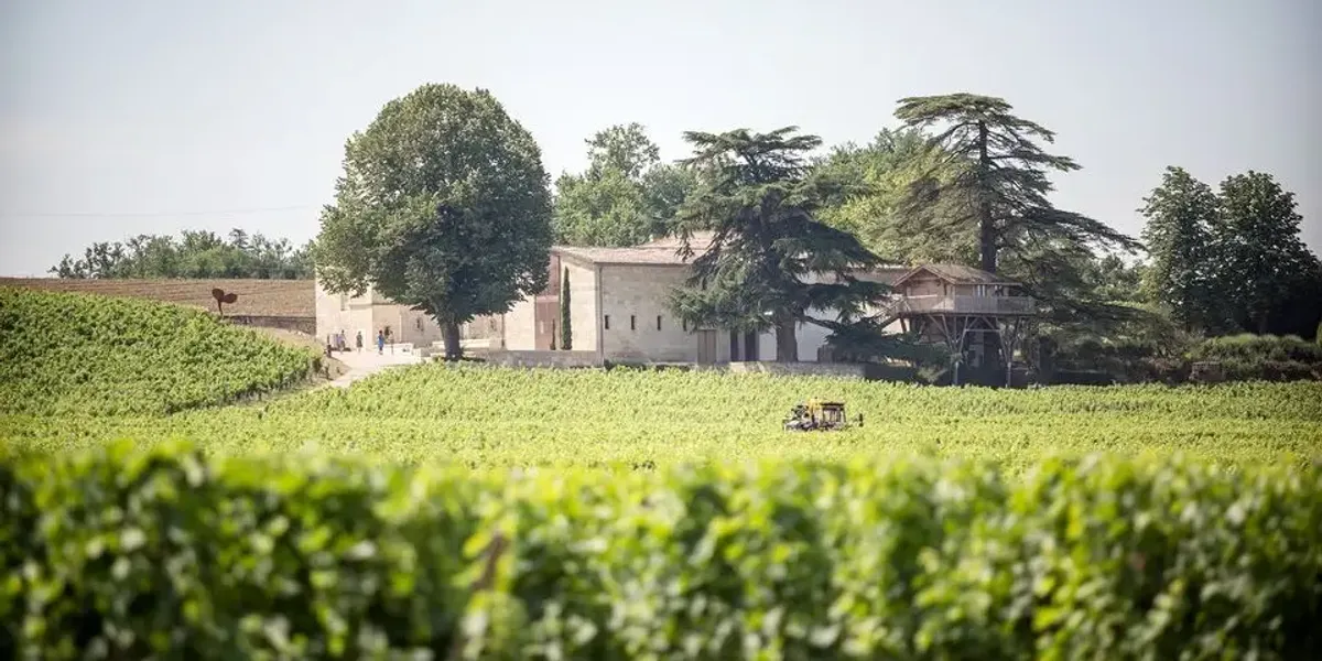 Château Franc Mayne