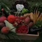 Logo de Au Jardin De Camille