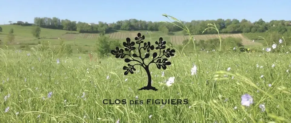 Le Clos des Figuiers