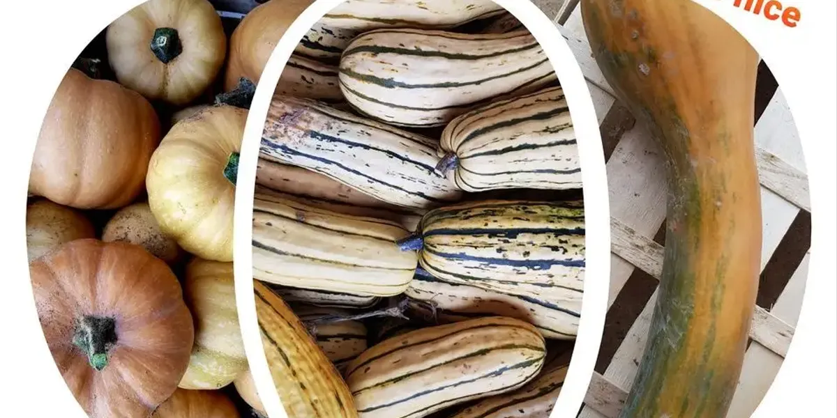 Les délices du Jardin d'Ainval