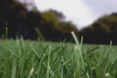 Earl Naudet-bostoën