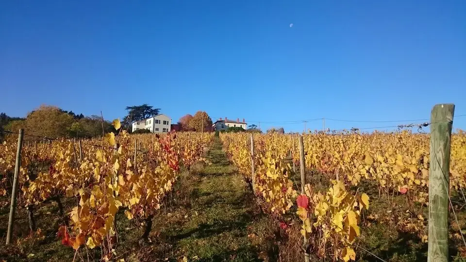 Domaine du Fontenay