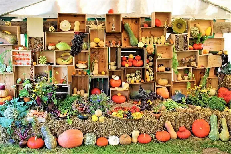 Le Potager de Beaumesnil