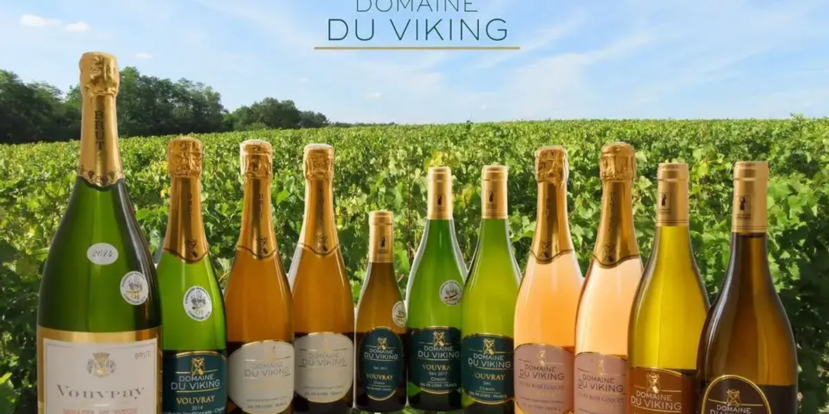 DOMAINE DU VIKING