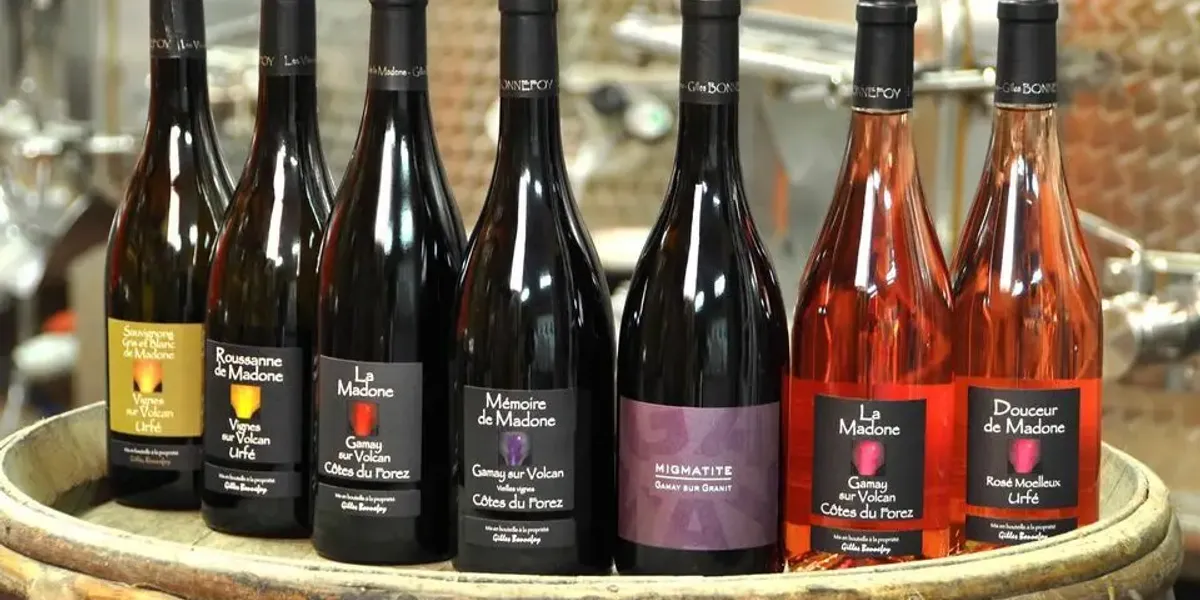 Gilles Bonnefoy - Vins de la Madone